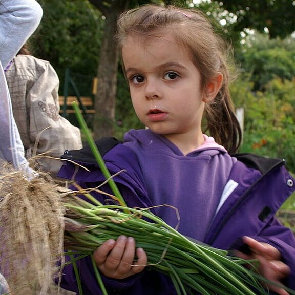 Gartenschule_13_.jpg